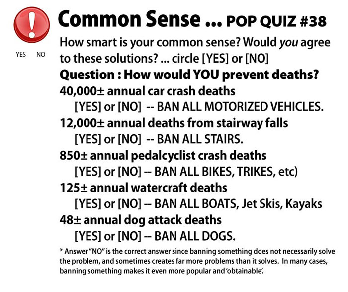 Quiz_38_death