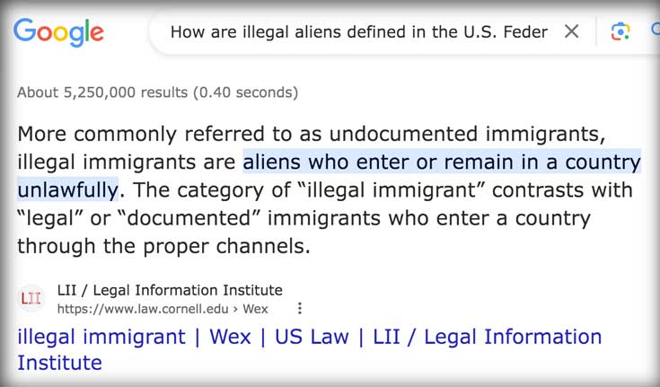 Google_illegals