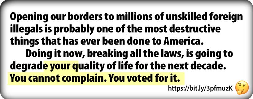 illegals_degrade_life