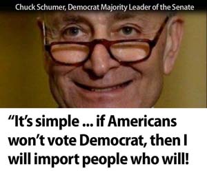 Democrats_importing_voters