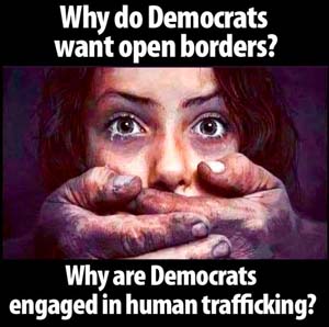 Why_do_Dems_want