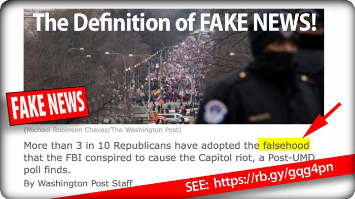 define_fake_news