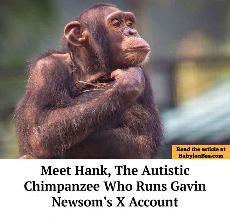 autistic_chimp
