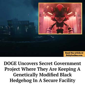 DOGE_Hedgehog