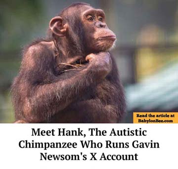 autistic_chimp