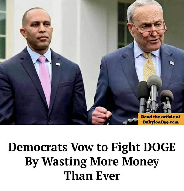 Dems_fight_doge