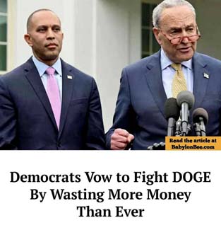 Dems_fight_doge