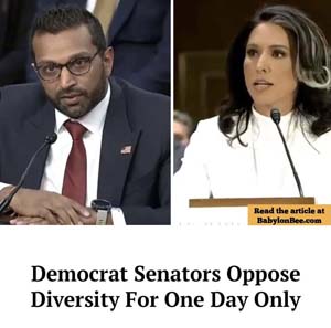 Dems_defy_diversity_BB