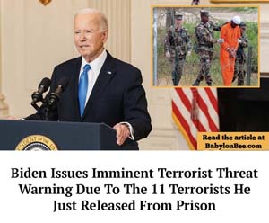 biden_terrorist_BB