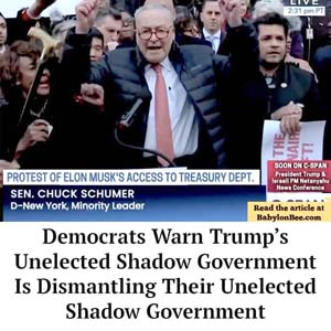 democrat_shadow_gov_BB